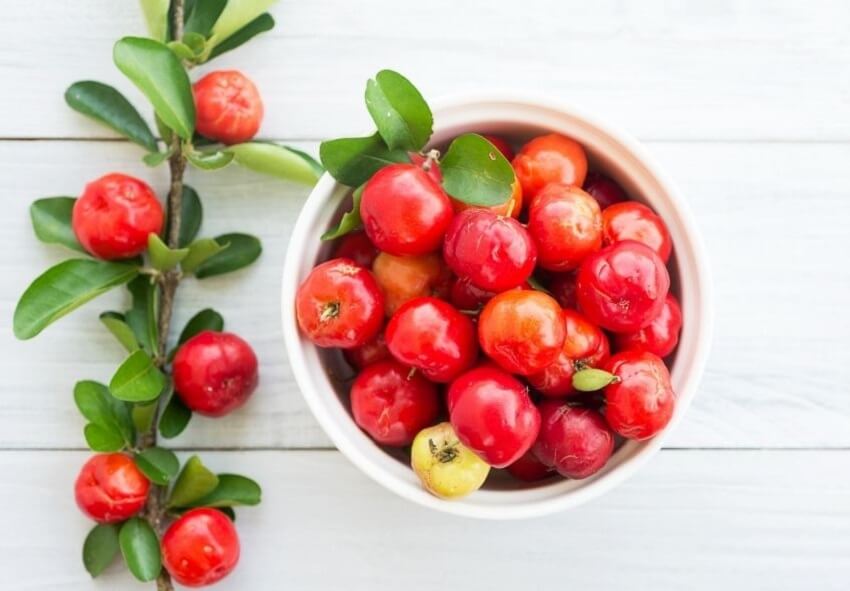 Acerola - Benefits and properties of the fruit with more vitamin C