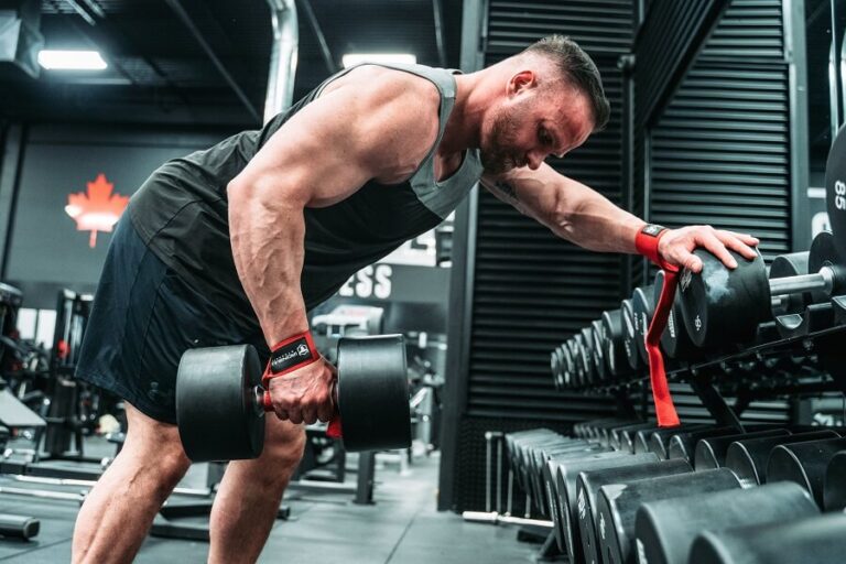 Barbell and Dumbbell Back Exercises