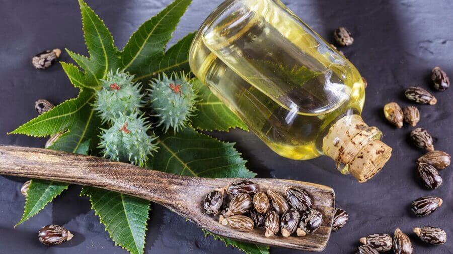 Castor oil - Properties, benefits, uses and contraindications