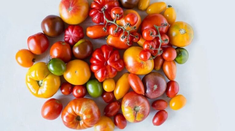 Cherry tomato - Calories, properties and nutrients