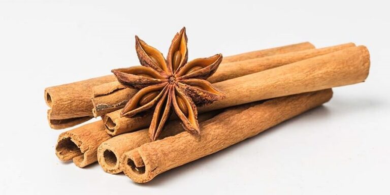 Cinnamon - Properties, benefits