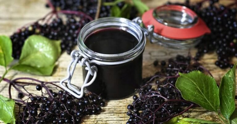 Elderberry - Properties, uses, benefits