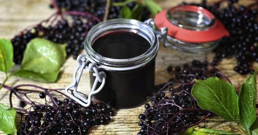 Elderberry - Properties, uses, benefits