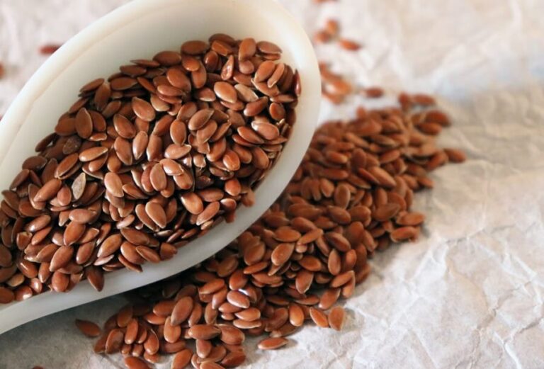 Flax seeds - uses, benefits and contraindications