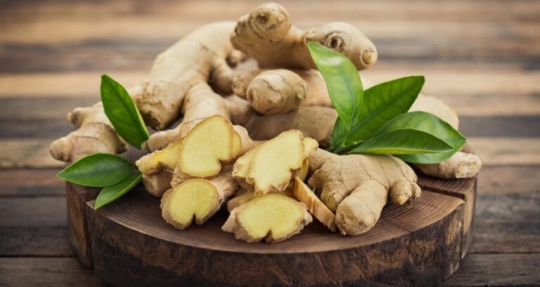 Ginger - Benefits, Uses And Contraindications