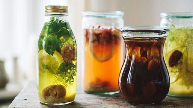 Kombucha - Benefits and Contraindications