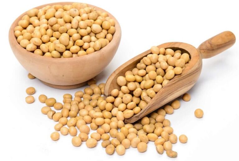 Lecithin - Uses, Benefits