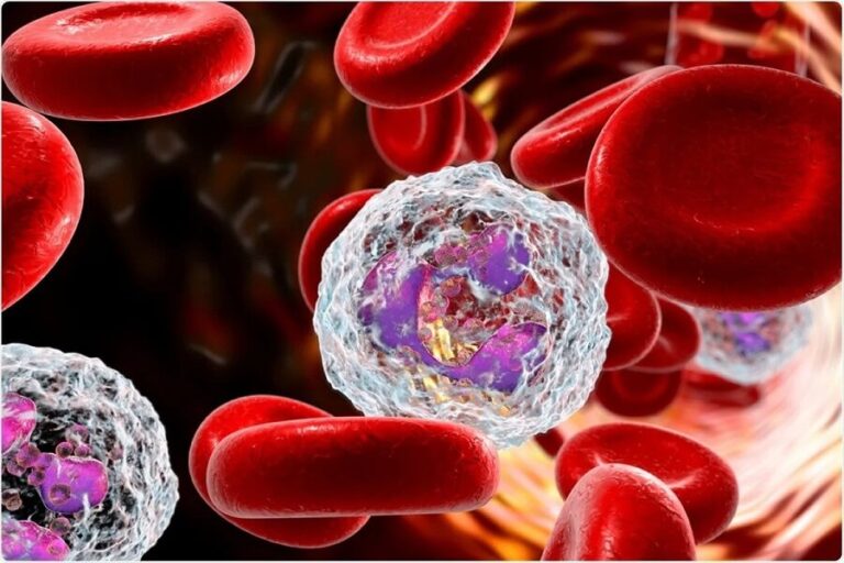 Neutrophils - Definition, Function and Blood Values
