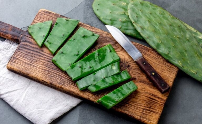 Nopal - Properties, benefits and contraindications
