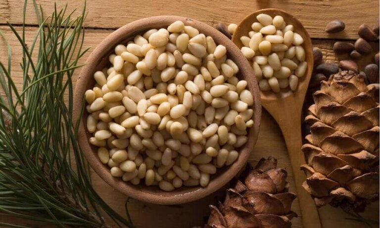Nuts - Nutritional properties