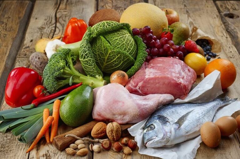 Paleo Diet Diet Plan and Benefits