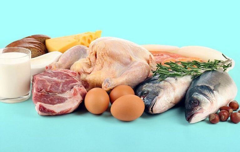 Protein diet
