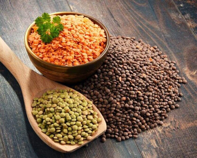 Red lentils - Benefits, uses and nutritional properties