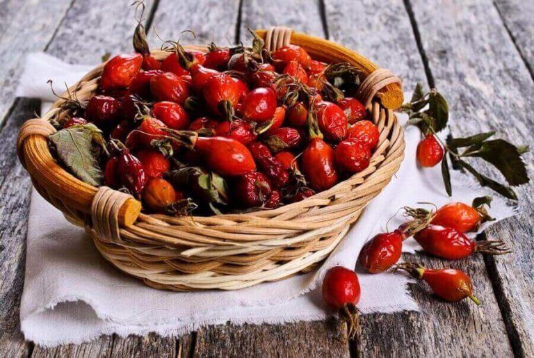 Rosehip Uses, nutritional properties and benefits
