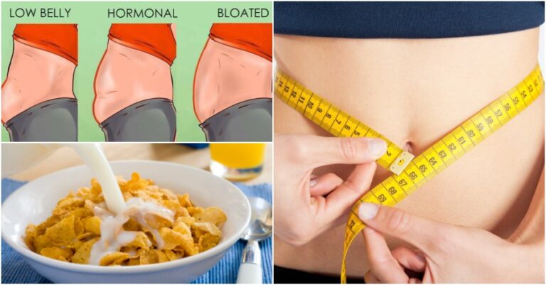 Upper abdominal fat