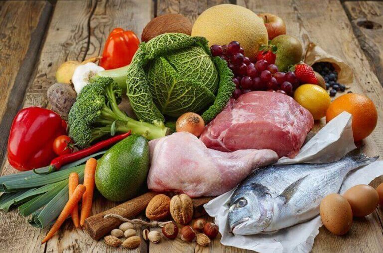 Vegetarian, Vegan, or Carnivore - Which Diet is Better