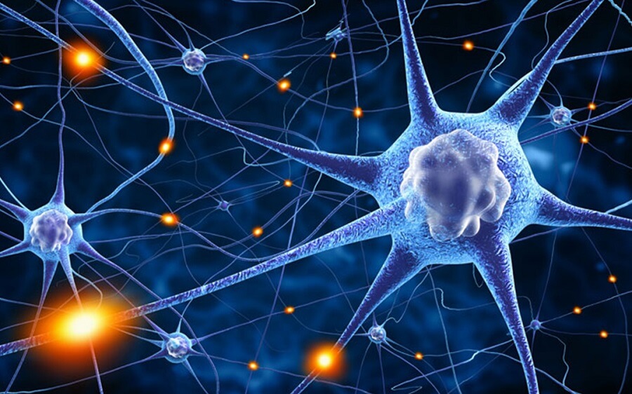 neuroplasticity change with age