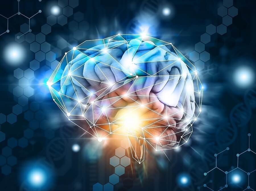 ways to increase neuroplasticity